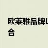 欧莱雅品牌Logo解析：时尚与品质的完美融合