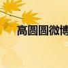 高圆圆微博最新动态：女神的日常分享