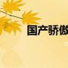 国产骄傲之作：vivo手机深度解析