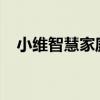 小维智慧家庭：重塑智能生活的极致体验