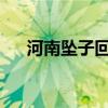 河南坠子回龙传：传统艺术的璀璨瑰宝