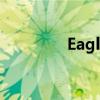 Eagle换电脑后的操作指南