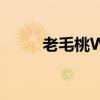 老毛桃Win7 U盘启动盘制作教程