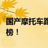 国产摩托车跑车哪款最好？综合对比推荐排行榜！
