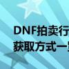 DNF拍卖行宠物宝珠全解析：属性、价格及获取方式一览