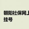 朝阳社保网上取号系统：便捷服务，一键预约挂号