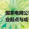 国家电网公司人力资源招聘平台——您的职业起点与成长平台
