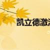 凯立德激活码详解：获取与使用指南
